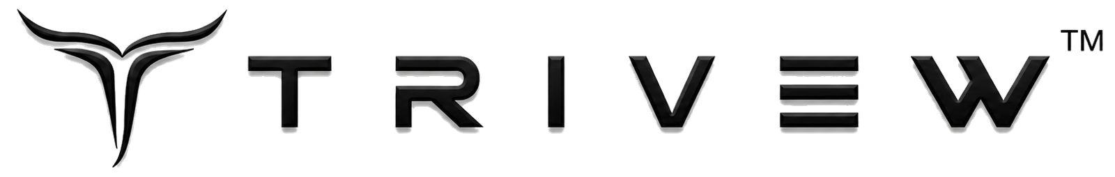 Trivew.com
